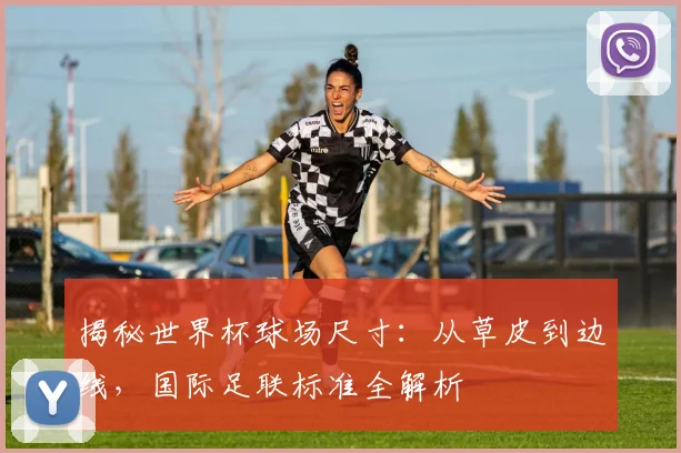 揭秘世界杯球场尺寸:从草皮到边线,国际足联标准全解析